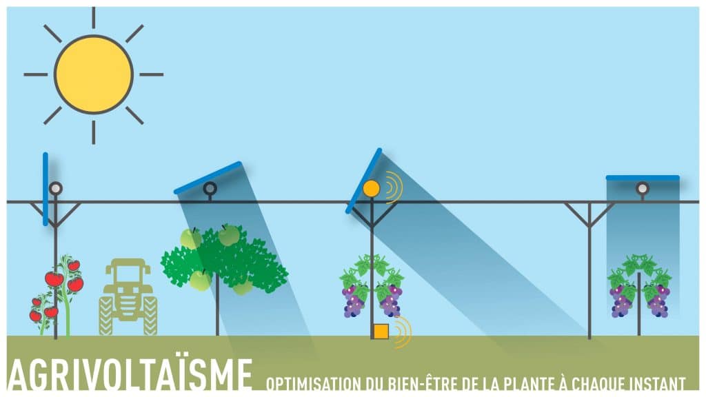 schémas SunAgri agrivoltaisme dynamique ENGIE Green