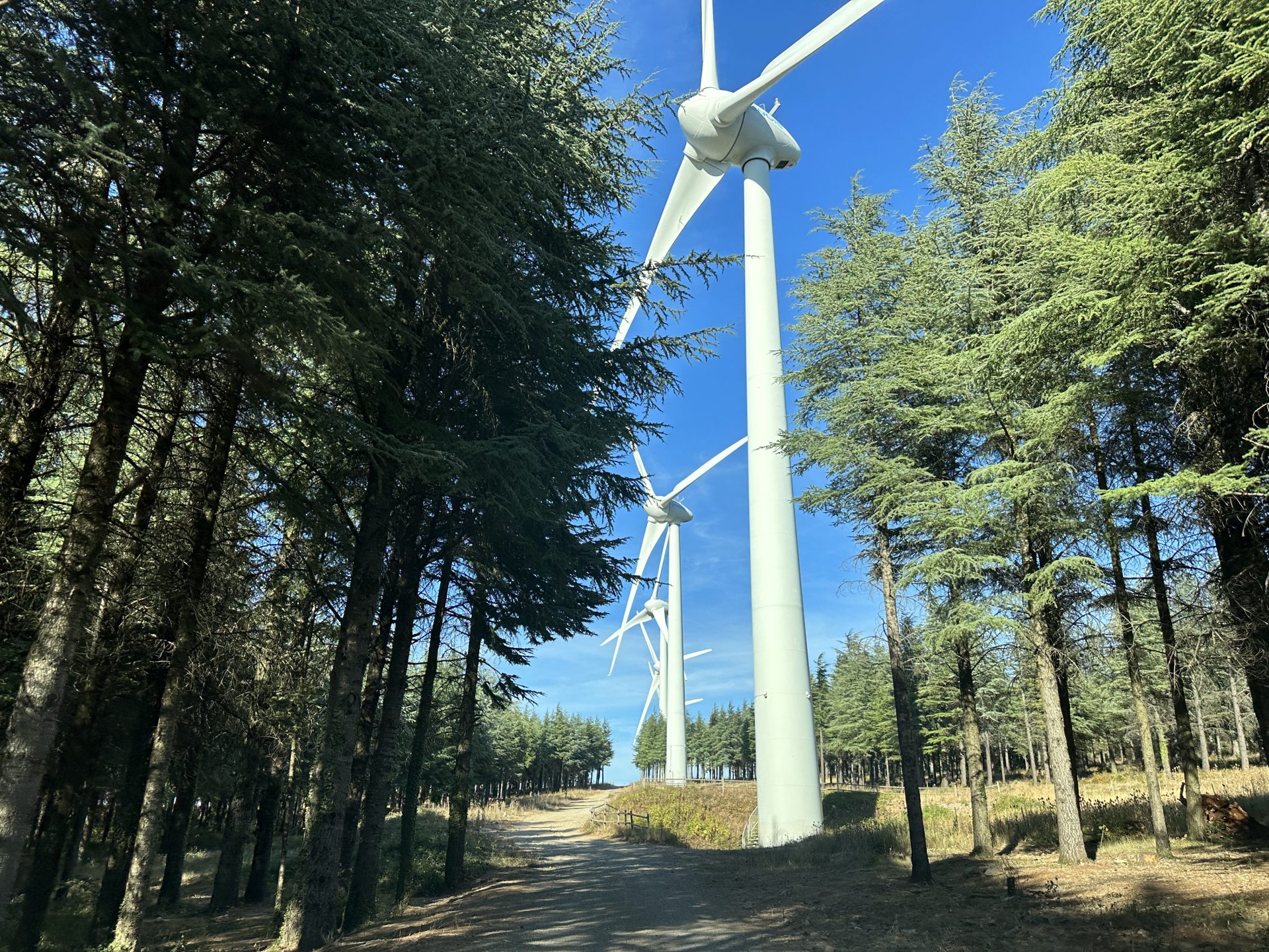 Développer un parc éolien : un site, un projet