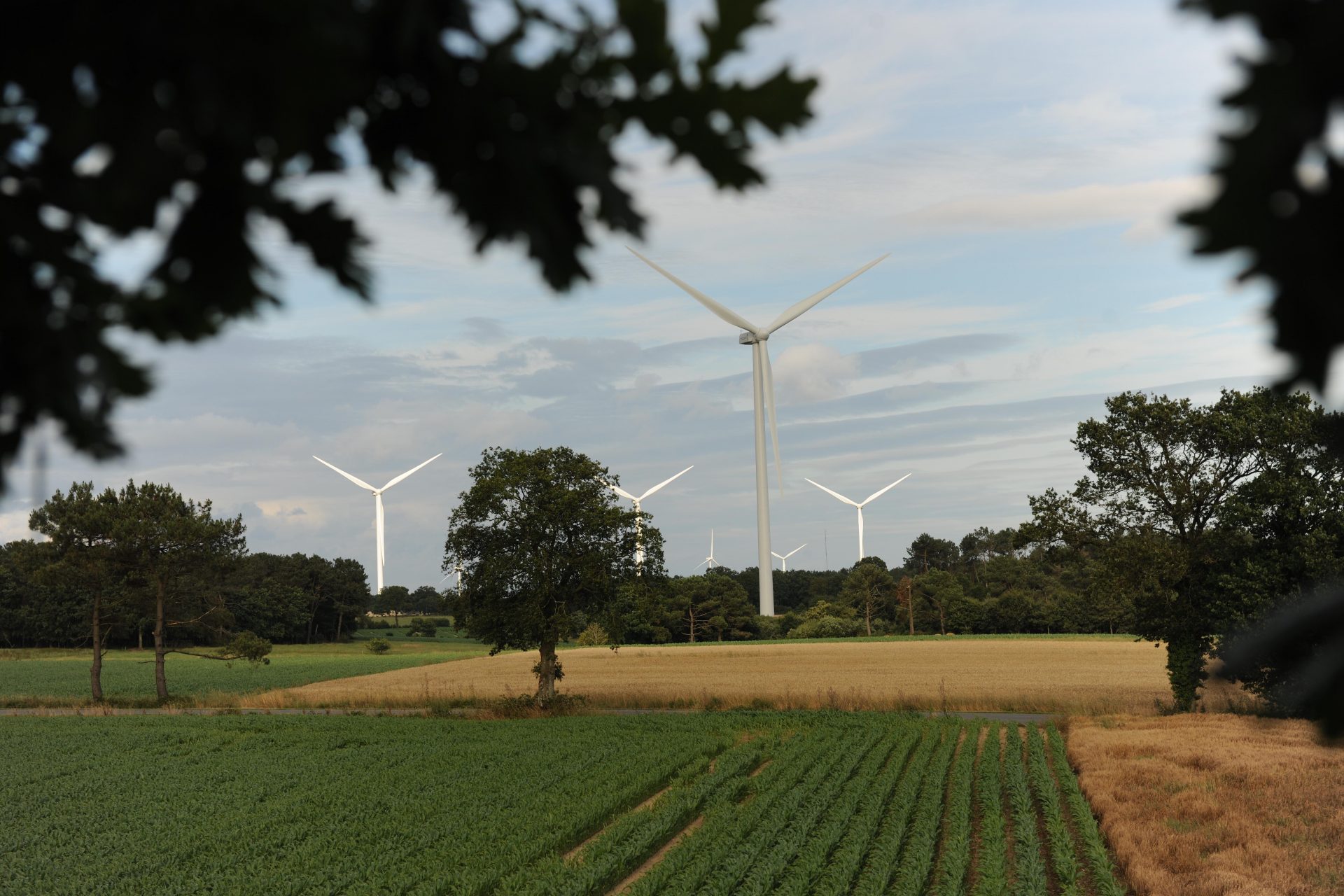 L’éolien en partage : la clé d'un projet intégré 