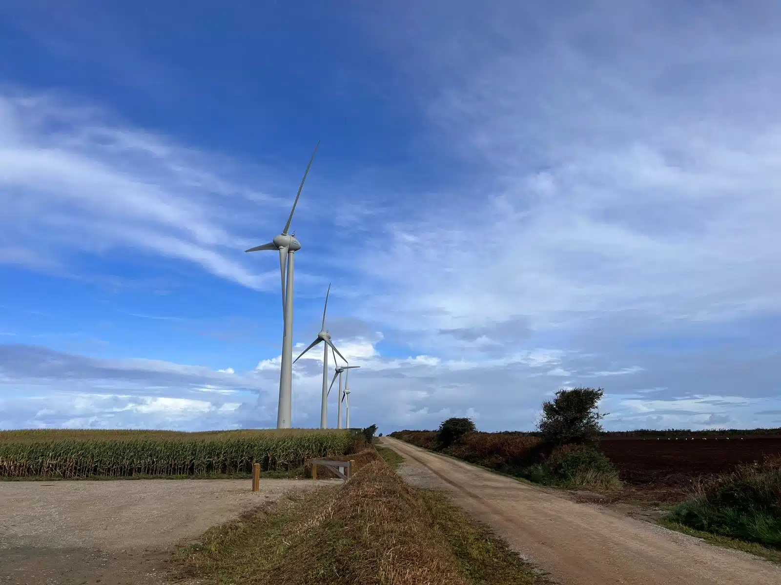 Le renouvellement : offrir une nouvelle vie aux parcs éoliens